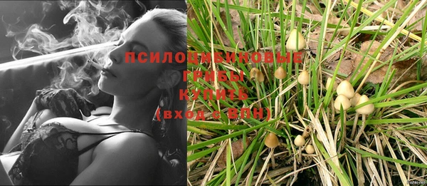 экстази Баксан