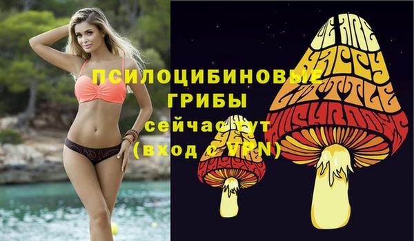 стаф Нязепетровск
