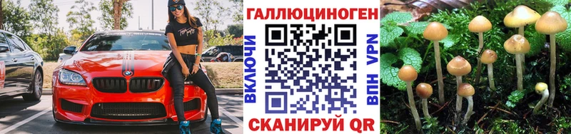 hydra ССЫЛКА  Новомосковск  Псилоцибиновые грибы мицелий 