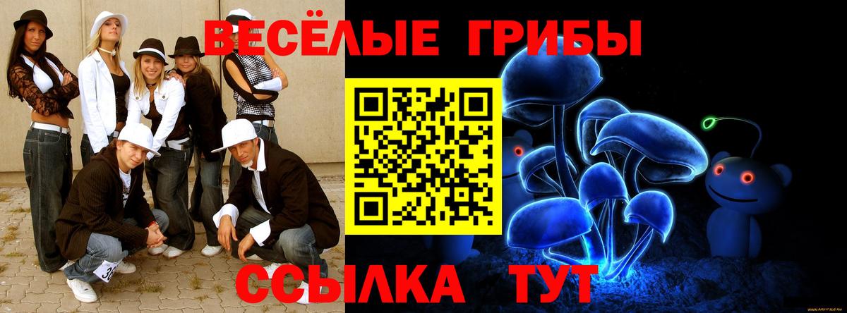 Галлюциногенные грибы Psilocybe Новомосковск