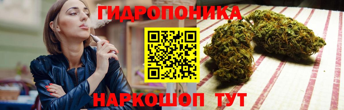 Бошки Шишки Bruce Banner  Вход с VPN  МАРИХУАНА конопля  Конопля SATIVA & INDICA  Новомосковск  Бошки марихуана планчик 